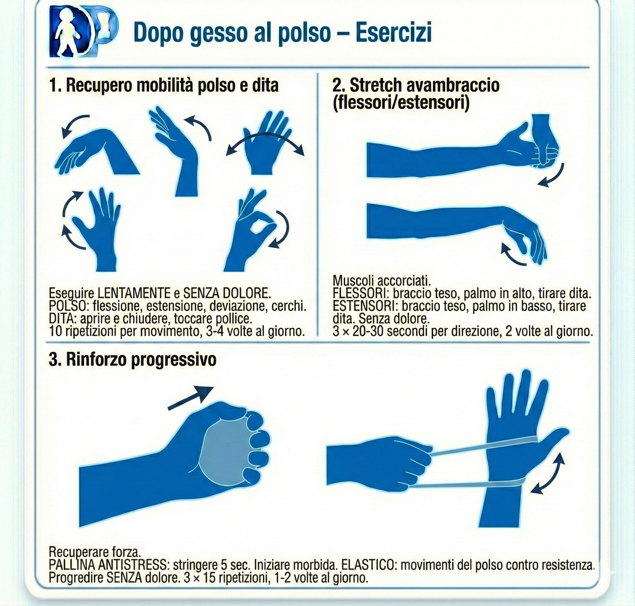 Scheda esercizi per Dopo gesso al polso